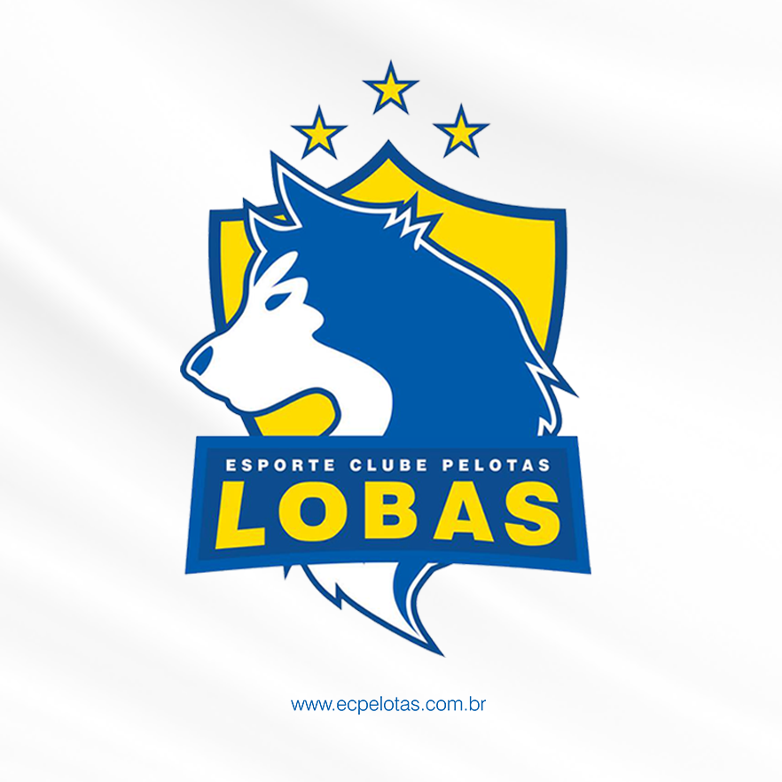 Campeonato Paulista - Blog das Lobas