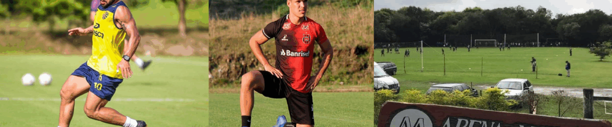 brapelarenamarini2020